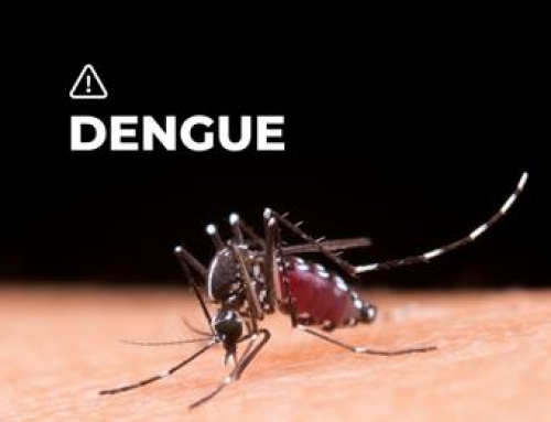 Crecen los casos de dengue en la Comuna 8